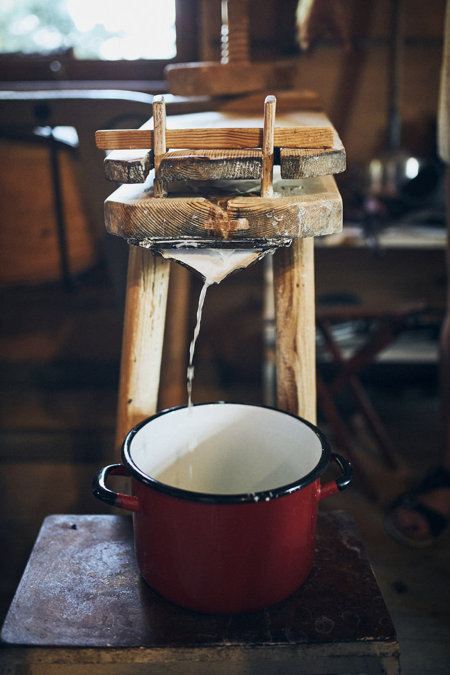 Cheese Making. Making Cottage Cheese Using Cheese Press and Trad